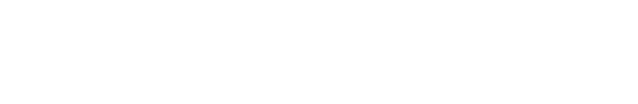 ChicChic Business